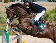 IZZO UGANITO CampITA2013- S5 9444 : Campionati Italiani 2013, Cattolica, Horse Riviera Resort, IZZO ORLANDO, UGANITO DU SEIGNEUR, foto di Stefano Secchi ©