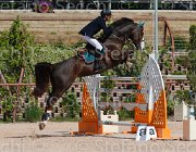IZZO UGANITO CampITA2013- S5 9445 : Campionati Italiani 2013, Cattolica, Horse Riviera Resort, IZZO ORLANDO, UGANITO DU SEIGNEUR, foto di Stefano Secchi ©