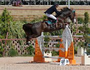 IZZO UGANITO CampITA2013- S5 9446 : Campionati Italiani 2013, Cattolica, Horse Riviera Resort, IZZO ORLANDO, UGANITO DU SEIGNEUR, foto di Stefano Secchi ©
