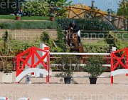 KAINICH TAMARIX CampITA2013- S5 9890 : Campionati Italiani 2013, Cattolica, Horse Riviera Resort, KAINICH DAVIDE, TAMARIX-F.M., foto di Stefano Secchi ©