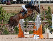 KAINICH TAMARIX CampITA2013- S5 9902 : Campionati Italiani 2013, Cattolica, Horse Riviera Resort, KAINICH DAVIDE, TAMARIX-F.M., foto di Stefano Secchi ©