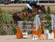 KAINICH TAMARIX CampITA2013- S5 9903 : Campionati Italiani 2013, Cattolica, Horse Riviera Resort, KAINICH DAVIDE, TAMARIX-F.M., foto di Stefano Secchi ©