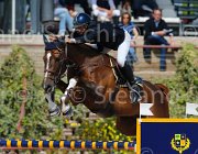 KAINICH TAMARIX CampITA2013- S5 9907 : Campionati Italiani 2013, Cattolica, Horse Riviera Resort, KAINICH DAVIDE, TAMARIX-F.M., foto di Stefano Secchi ©