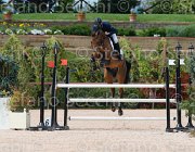 LAZZARO ACROBAAT CampITA2013- S5 1051 : ACROBAAT, Campionati Italiani 2013, Cattolica, Horse Riviera Resort, LAZZARO SERGIO, foto di Stefano Secchi ©