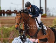 LAZZARO ACROBAAT CampITA2013- S5 1053 : ACROBAAT, Campionati Italiani 2013, Cattolica, Horse Riviera Resort, LAZZARO SERGIO, foto di Stefano Secchi ©