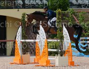 LAZZARO ACROBAAT CampITA2013- S5 1054 : ACROBAAT, Campionati Italiani 2013, Cattolica, Horse Riviera Resort, LAZZARO SERGIO, foto di Stefano Secchi ©
