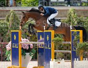 LAZZARO ACROBAAT CampITA2013- S5 1056 : ACROBAAT, Campionati Italiani 2013, Cattolica, Horse Riviera Resort, LAZZARO SERGIO, foto di Stefano Secchi ©