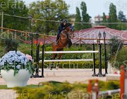 LEUSCH ACORADUS ItaAss2013- S5 1177 : ACORADUS FZ-BZ, Campionati Italiani 2013, Cattolica, Horse Riviera Resort, LEUSCH ALAIN, foto di Stefano Secchi ©