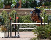 LEUSCH UTAINE CampITA2013- S5 0957 : Campionati Italiani 2013, Cattolica, Horse Riviera Resort, LEUSCH ALAIN, UTAINE G.B., foto di Stefano Secchi ©