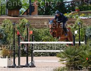 LEUSCH UTAINE CampITA2013- S5 0958 : Campionati Italiani 2013, Cattolica, Horse Riviera Resort, LEUSCH ALAIN, UTAINE G.B., foto di Stefano Secchi ©