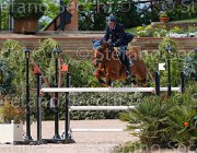 LEUSCH UTAINE CampITA2013- S5 0959 : Campionati Italiani 2013, Cattolica, Horse Riviera Resort, LEUSCH ALAIN, UTAINE G.B., foto di Stefano Secchi ©
