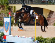 LOMBARDI VADINO CampITA2013- S5 0265 : Campionati Italiani 2013, Cattolica, Horse Riviera Resort, LOMBARDI BALILLA, VADINO - V, foto di Stefano Secchi ©