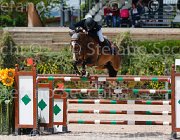LOMBARDI VADINO CampITA2013- S5 0267 : Campionati Italiani 2013, Cattolica, Horse Riviera Resort, LOMBARDI BALILLA, VADINO - V, foto di Stefano Secchi ©