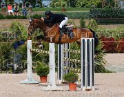 LOMBARDI VADINO CampITA2013- S5 0272 : Campionati Italiani 2013, Cattolica, Horse Riviera Resort, LOMBARDI BALILLA, VADINO - V, foto di Stefano Secchi ©