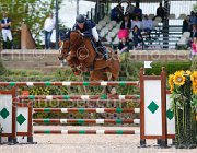 LORENZETTI CHILLI CampITA2013- S5 0468 : CHILLI Z, Campionati Italiani 2013, Cattolica, Horse Riviera Resort, LORENZETTI LAURA, foto di Stefano Secchi ©