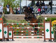 LUPINO WATRICIA CampITA2013- S5 0447 : Campionati Italiani 2013, Cattolica, Horse Riviera Resort, LUPINO NICO, WATRICIA, foto di Stefano Secchi ©