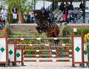 LUPINO WATRICIA CampITA2013- S5 0448 : Campionati Italiani 2013, Cattolica, Horse Riviera Resort, LUPINO NICO, WATRICIA, foto di Stefano Secchi ©