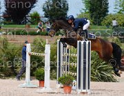 LUPINO WATRICIA CampITA2013- S5 0452 : Campionati Italiani 2013, Cattolica, Horse Riviera Resort, LUPINO NICO, WATRICIA, foto di Stefano Secchi ©