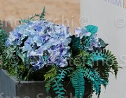 MAGARO KANAN CampITA2013- S5 0364 : Campionati Italiani 2013, Cattolica, Horse Riviera Resort, KANAN Z BEBE, MAGARO' STEFANO, foto di Stefano Secchi ©