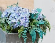 MAGARO KANAN CampITA2013- S5 0366 : Campionati Italiani 2013, Cattolica, Horse Riviera Resort, KANAN Z BEBE, MAGARO' STEFANO, foto di Stefano Secchi ©