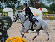 MARZIANI CARIBO ItaAss2013- S5 1412 : CARIBO Z, Campionati Italiani 2013, Cattolica, Horse Riviera Resort, MARZIANI LUCA, foto di Stefano Secchi ©