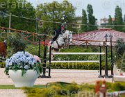MARZIANI CARIBO ItaAss2013- S5 1413 : CARIBO Z, Campionati Italiani 2013, Cattolica, Horse Riviera Resort, MARZIANI LUCA, foto di Stefano Secchi ©