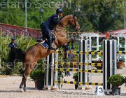 marziani wivina CampITA2013- S5 9657 : Campionati Italiani 2013, Cattolica, Horse Riviera Resort, MARZIANI LUCA, WIVINA, foto di Stefano Secchi ©