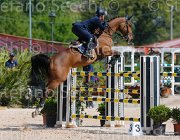 marziani wivina CampITA2013- S5 9658 : Campionati Italiani 2013, Cattolica, Horse Riviera Resort, MARZIANI LUCA, WIVINA, foto di Stefano Secchi ©
