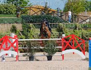 marziani wivina CampITA2013- S5 9659 : Campionati Italiani 2013, Cattolica, Horse Riviera Resort, MARZIANI LUCA, WIVINA, foto di Stefano Secchi ©