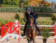 marziani wivina CampITA2013- S5 9668 : Campionati Italiani 2013, Cattolica, Horse Riviera Resort, MARZIANI LUCA, WIVINA, foto di Stefano Secchi ©