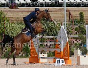 marziani wivina CampITA2013- S5 9678 : Campionati Italiani 2013, Cattolica, Horse Riviera Resort, MARZIANI LUCA, WIVINA, foto di Stefano Secchi ©