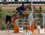 marziani wivina CampITA2013- S5 9679 : Campionati Italiani 2013, Cattolica, Horse Riviera Resort, MARZIANI LUCA, WIVINA, foto di Stefano Secchi ©