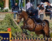 marziani wivina CampITA2013- S5 9682 : Campionati Italiani 2013, Cattolica, Horse Riviera Resort, MARZIANI LUCA, WIVINA, foto di Stefano Secchi ©