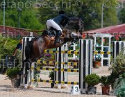 MASCENTI SILVANER CampITA2013- S5 9825 : Campionati Italiani 2013, Cattolica, Horse Riviera Resort, MASCENTI BRYAN, SILVANER D.C., foto di Stefano Secchi ©