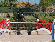 MASCENTI SILVANER CampITA2013- S5 9827 : Campionati Italiani 2013, Cattolica, Horse Riviera Resort, MASCENTI BRYAN, SILVANER D.C., foto di Stefano Secchi ©