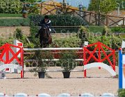 MASCENTI SILVANER CampITA2013- S5 9829 : Campionati Italiani 2013, Cattolica, Horse Riviera Resort, MASCENTI BRYAN, SILVANER D.C., foto di Stefano Secchi ©