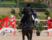 MASCENTI SILVANER CampITA2013- S5 9833 : Campionati Italiani 2013, Cattolica, Horse Riviera Resort, MASCENTI BRYAN, SILVANER D.C., foto di Stefano Secchi ©