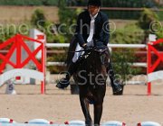 MASCENTI SILVANER CampITA2013- S5 9837 : Campionati Italiani 2013, Cattolica, Horse Riviera Resort, MASCENTI BRYAN, SILVANER D.C., foto di Stefano Secchi ©