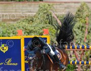 MASCENTI SILVANER CampITA2013- S5 9852 : Campionati Italiani 2013, Cattolica, Horse Riviera Resort, MASCENTI BRYAN, SILVANER D.C., foto di Stefano Secchi ©