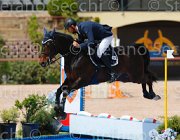 MAZZI CADONIS CampITA2013- S5 0253 : CADONIS VH STREIJEHOF Z, Campionati Italiani 2013, Cattolica, Horse Riviera Resort, MAZZI ENRICO, foto di Stefano Secchi ©