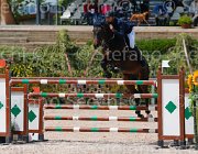 MAZZI CADONIS CampITA2013- S5 0254 : CADONIS VH STREIJEHOF Z, Campionati Italiani 2013, Cattolica, Horse Riviera Resort, MAZZI ENRICO, foto di Stefano Secchi ©
