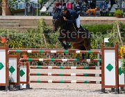 MAZZI CADONIS CampITA2013- S5 0255 : CADONIS VH STREIJEHOF Z, Campionati Italiani 2013, Cattolica, Horse Riviera Resort, MAZZI ENRICO, foto di Stefano Secchi ©