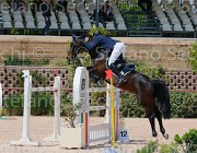 MAZZI CADONIS CampITA2013- S5 0260 : CADONIS VH STREIJEHOF Z, Campionati Italiani 2013, Cattolica, Horse Riviera Resort, MAZZI ENRICO, foto di Stefano Secchi ©