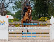 MENCOLINI DANSECOUR ItaAss2013- S5 1352 : Campionati Italiani 2013, Cattolica, DANSECOUR DE MUZE, Horse Riviera Resort, MENCOLINI Paolo, foto di Stefano Secchi ©
