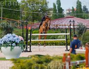 MENCOLINI DANSECOUR ItaAss2013- S5 1354 : Campionati Italiani 2013, Cattolica, DANSECOUR DE MUZE, Horse Riviera Resort, MENCOLINI Paolo, foto di Stefano Secchi ©