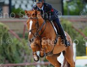 MENCOLINI DANSECOUR ItaAss2013- S5 1363 : Campionati Italiani 2013, Cattolica, DANSECOUR DE MUZE, Horse Riviera Resort, MENCOLINI Paolo, foto di Stefano Secchi ©