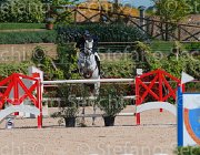 MESSERSI AMORALDI CampITA2013- S5 9406 : AMORALDI VAN HET AKENHOF, Campionati Italiani 2013, Cattolica, Horse Riviera Resort, MESSERSI' ANDREA, foto di Stefano Secchi ©