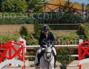MESSERSI AMORALDI CampITA2013- S5 9411 : AMORALDI VAN HET AKENHOF, Campionati Italiani 2013, Cattolica, Horse Riviera Resort, MESSERSI' ANDREA, foto di Stefano Secchi ©