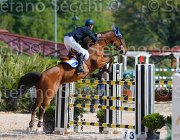 MONETA NEPTUNE CampITA2013- S5 9130 : Campionati Italiani 2013, Cattolica, Horse Riviera Resort, MONETA LUCA MARIA, NEPTUNE BRECOURT, foto di Stefano Secchi ©