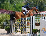 MONETA NEPTUNE CampITA2013- S5 9132 : Campionati Italiani 2013, Cattolica, Horse Riviera Resort, MONETA LUCA MARIA, NEPTUNE BRECOURT, foto di Stefano Secchi ©